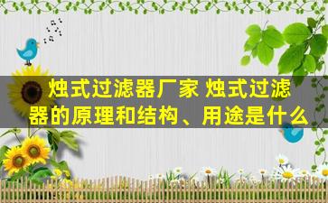 烛式过滤器厂家 烛式过滤器的原理和结构、用途是什么